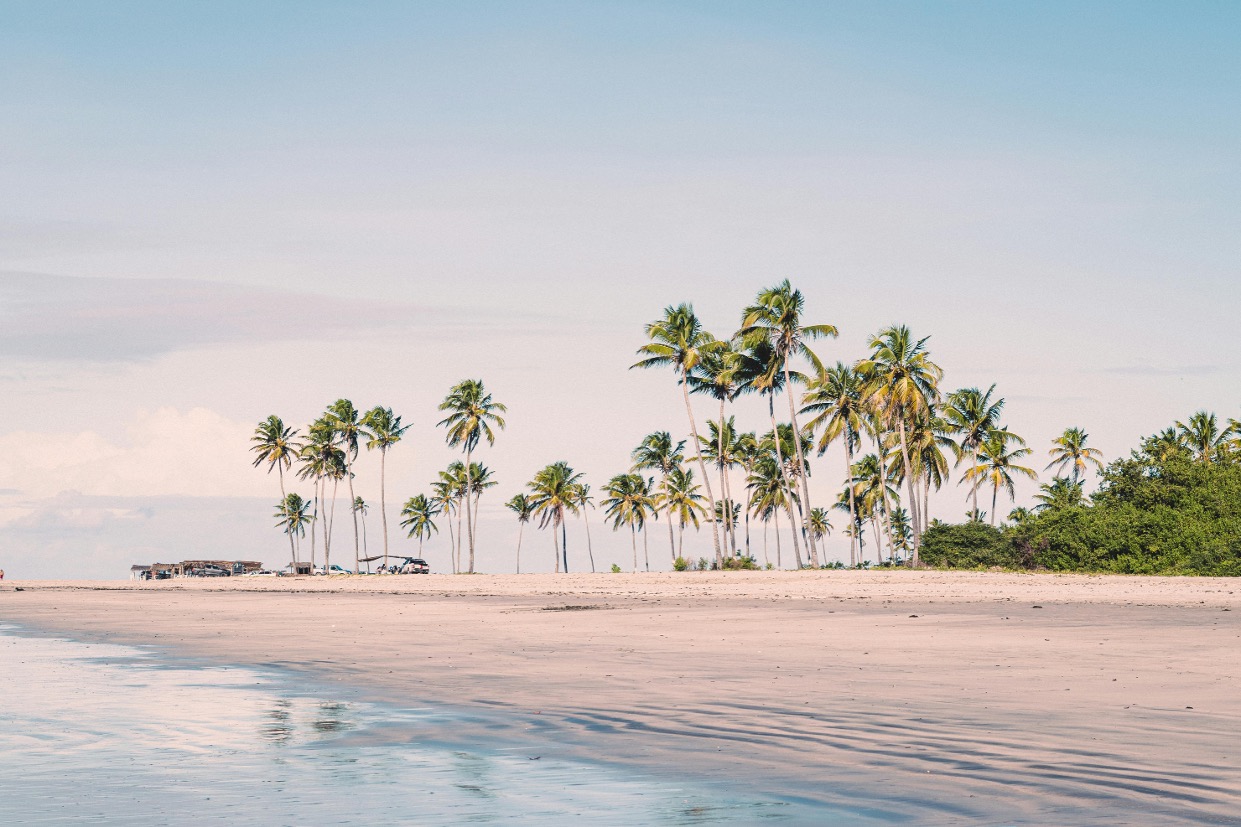 Afrika venter - oplev Zanzibars unikke naturlig og azurblå hav. Tag på højskole